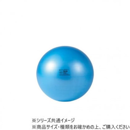 DANNO(ダンノ) ギムニクボディボール95(LP9095) ブルー D5919