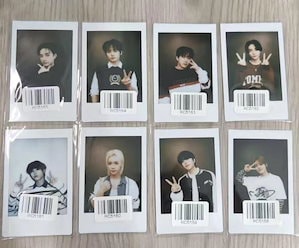 新品　straykids スキズ 中国 kms トレカ 全メンバーセット スキズ kms