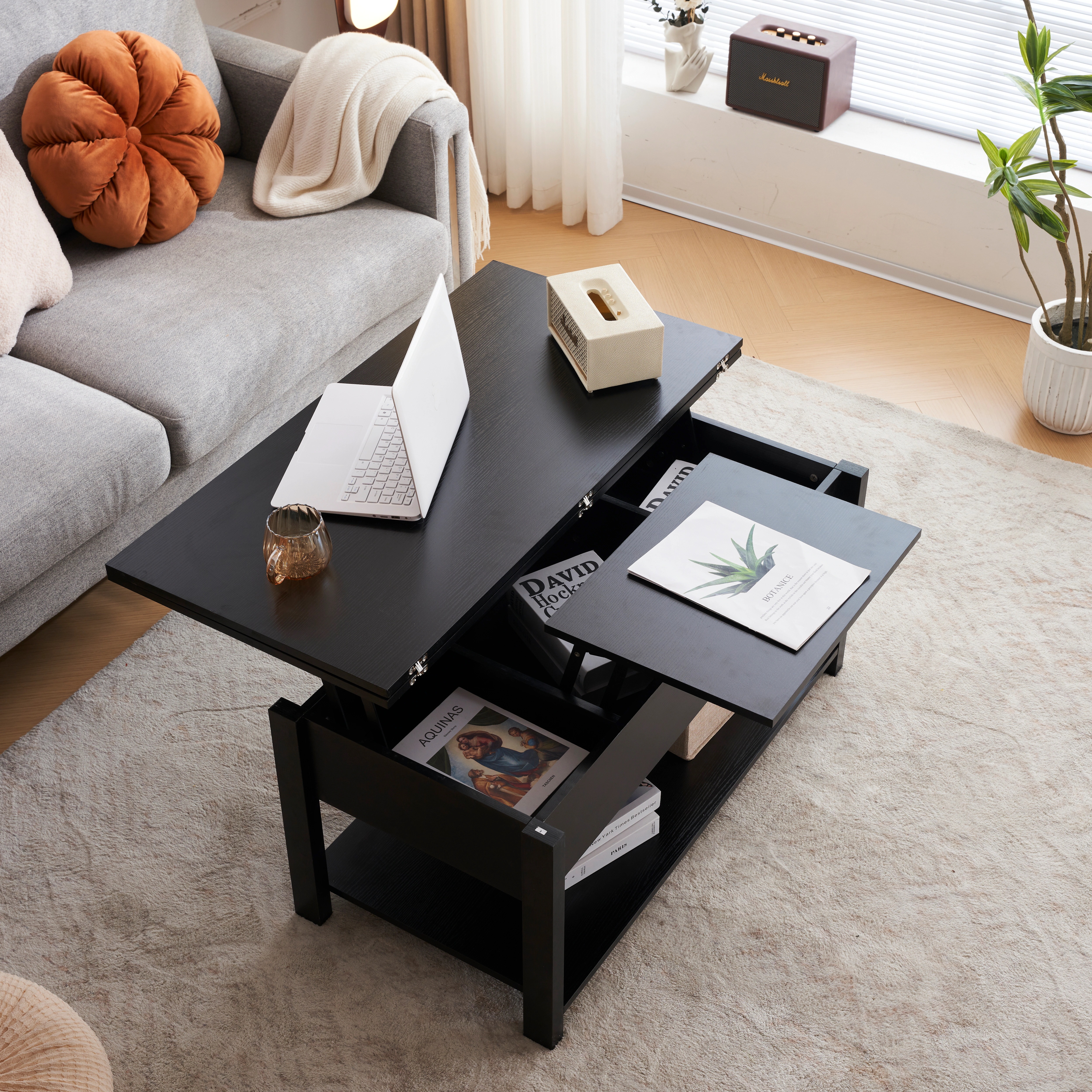 【国内発送】301 ローテーブル 収納付き センターテーブル 天板昇降式 天板2倍展開可能 大容量 簡単開閉 昇降式 収納テーブル おしゃ