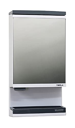 東プレ ミラーキャビネット 洗面収納 縦618幅322奥行142 TW-T55T RP東プラ 洗面化粧台 ミラーキャビネット 32.26