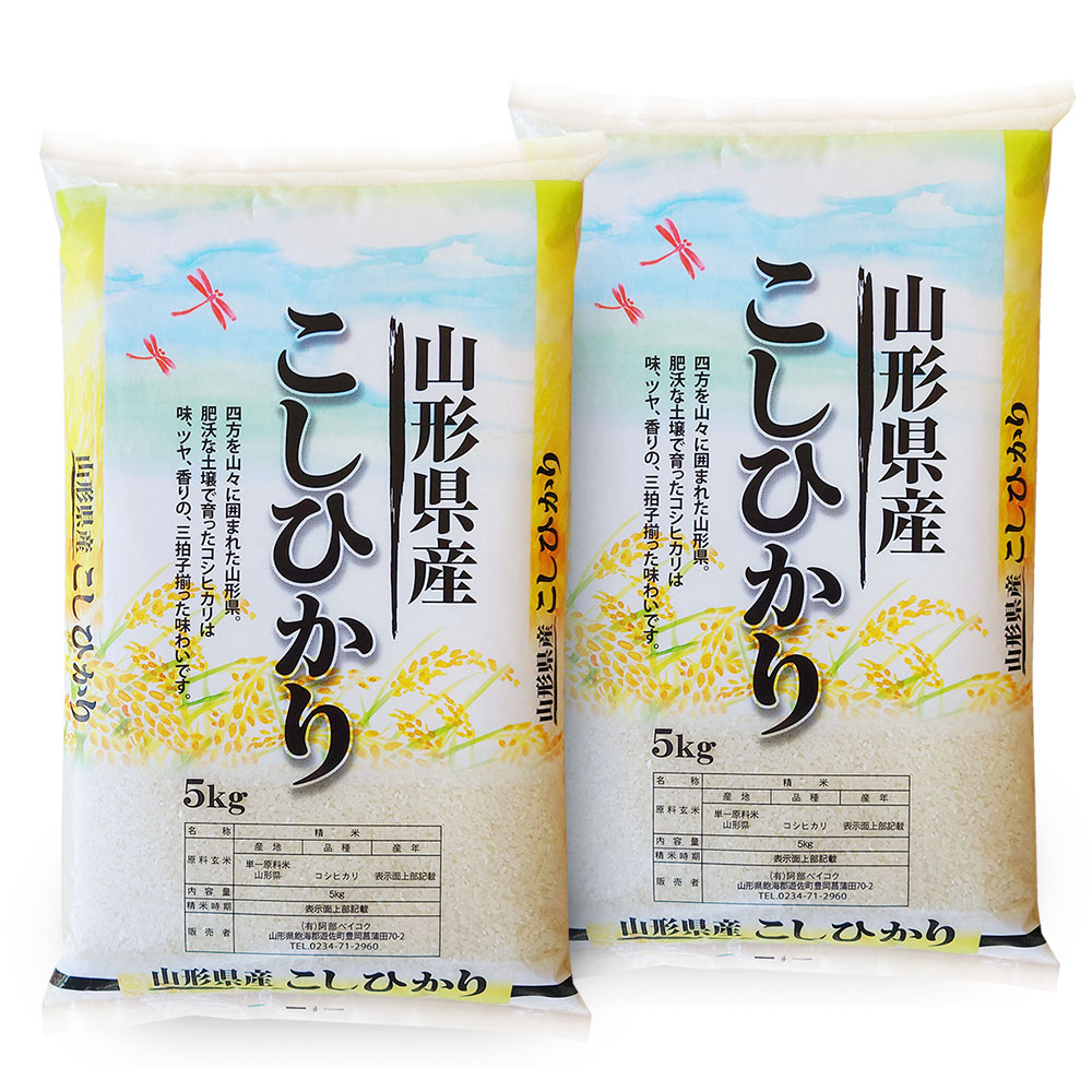 令和6年 コシヒカリ 10kg (5kgx2袋) 山形県産 コシヒカリ