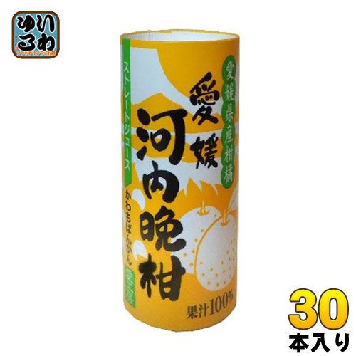 愛工房 河内晩柑 125ml カート缶 30本入
