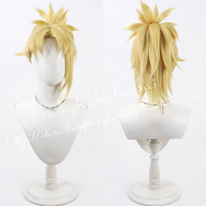 【最安値挑戦】忍たま乱太郎 斉藤タカ丸 コスプレ ウィッグ コスチューム用小物 耐熱 かつら 日常