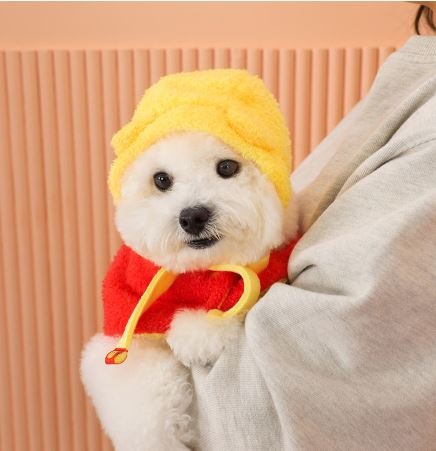 愛犬の帽子マントセット_チュンシク