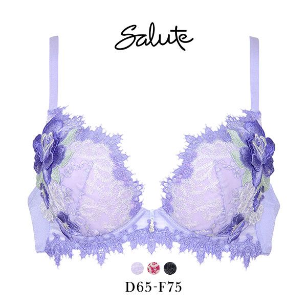 ワコール Wacoal サルート Salute 40周年 84G 23SS BTJ484 VIVA