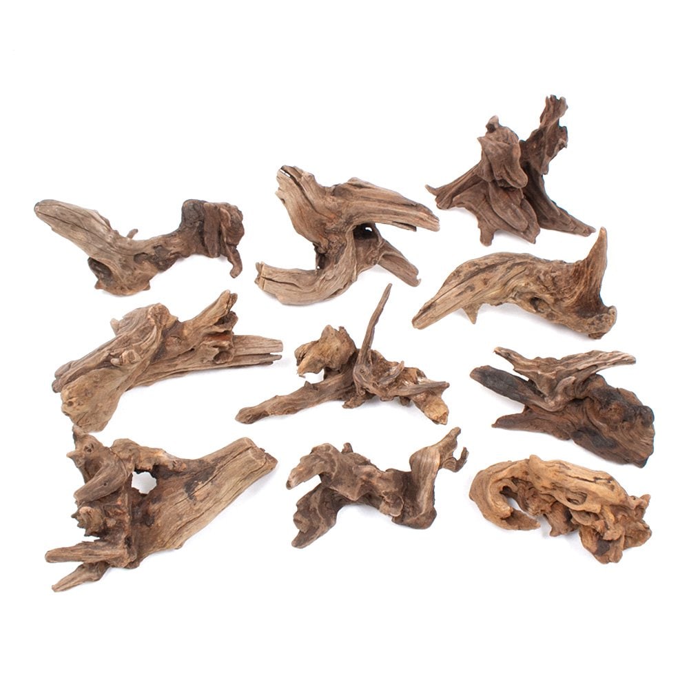 形状お任せ　煮込み済み　スクイーズウッド　１０本　ＣＲＣ21―10―20―10―00