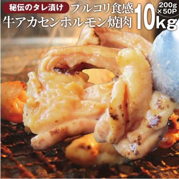 焼肉 牛肉 肉 アカセン ホルモン 10kg(200g×50袋) タレ漬け あかせん ギアラ ぎあら 焼くだけ 焼肉用 BBQ キャンプ