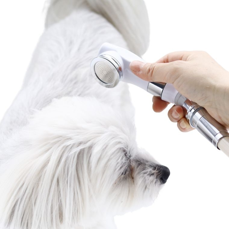シャワーヘッド マイクロナノバブル ボリーナ ペットケア（petcare）」ペット用【日本製 犬 ナノバブル 節水 シャワー ヘッド コンパクト Bollina お風呂】