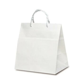 PP紐手提袋 T-ワイド 白無地（PP紐） 1738 50枚