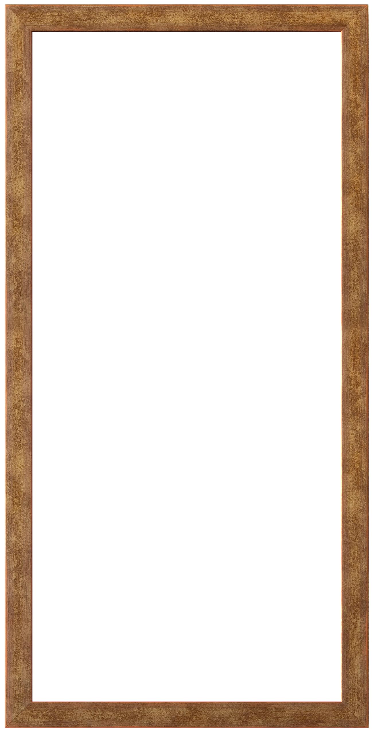 ラーソン・ジュール 額縁 アンドーバー 20x40(内寸200x400mm) ゴールド