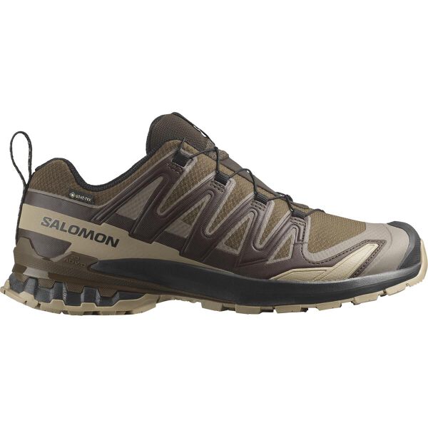 サロモン SALOMON XA PRO 3D V9 GORE-TEX メンズ ハイキング シューズ L47881800