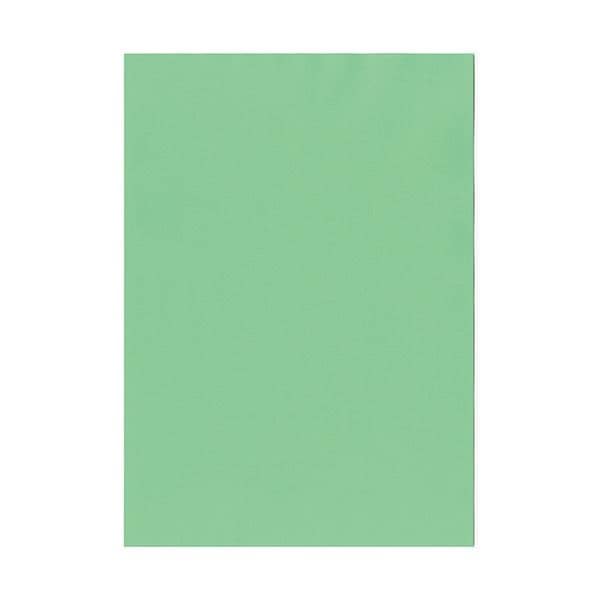北越コーポレーション 紀州の色上質A4T目 薄口 若竹 1箱（4000枚:500枚x8冊）