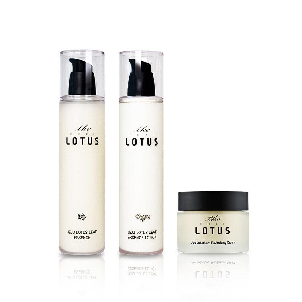 マッコイマクセリー ローション業務用500ml（2点セット） 2個セット