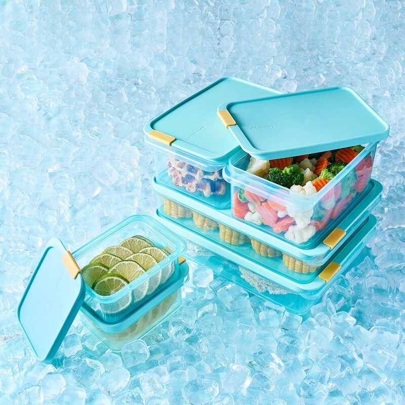 6PCS フリーザーフィット 6個セット コンテナケース 冷凍庫収納用 スタッカブル BPAフリー 450ml 1.65L 2.2L