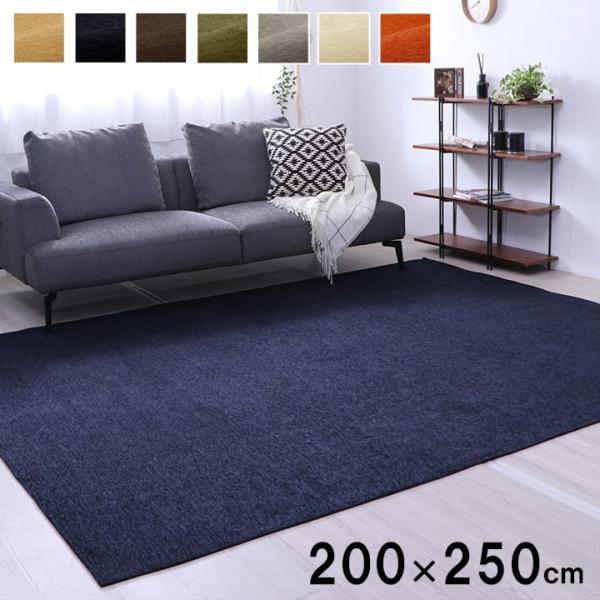 モデルノ カーペット 絨毯 無地ラグ ラグ 撥水カーペット 撥水 コンパクト 収納 オールシーズン 滑り止め 床暖房 ホットカーペット対応 洗濯可能MDRN200250