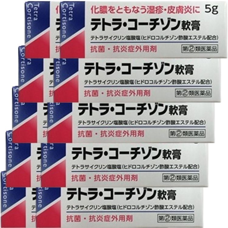 指定第2類医薬品 10個セット 伊丹製薬 テトラコーチゾン軟膏 5g テトラ コーチゾン軟膏