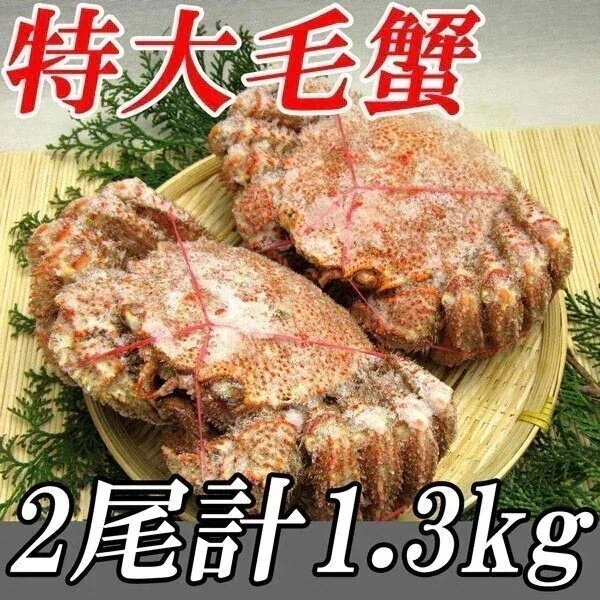 特大毛蟹 2尾セット(計1.3kg/1尾平均650ｇ) 北海道産 冷凍便 指定日不可