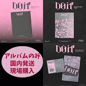 straykids do it it ver 新品未開封アルバム 10枚セット straykids do it