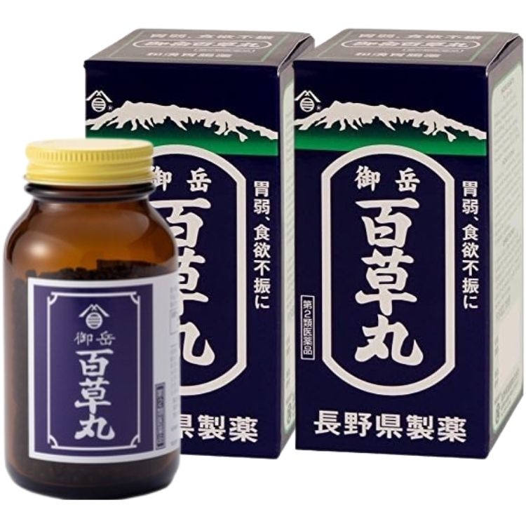 第2類医薬品 2個セット 長野県製薬 御岳百草丸 4100丸 胃腸薬