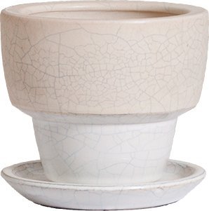 植木鉢・受皿セット アダラM Φ255ｍｍ 底穴あり チタンホワイト 信楽焼 548-11