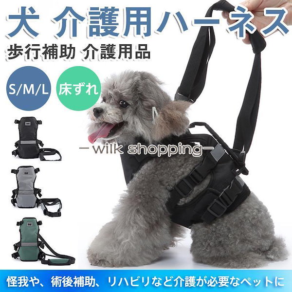 バディベルト＆リードセット 3号サイズ ホワイトキャップ ラグジュアリー バディーベルト(Buddybelts)のホワイトキャップ（wahitecap）