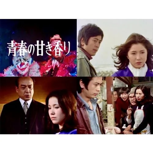 【DVD】青春の甘き香り コレクターズDVD [HDリマスター版][昭和の名作ライブラリー 第165集] 16,347円