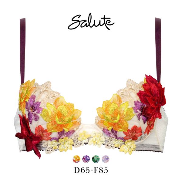 ワコール Wacoal サルート Salute 30G P-UP ブラジャー DEF プッシュアップ
