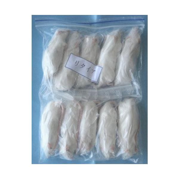 冷凍リタイアマウス (10cm～) 80匹入り【クール便発送】 両生類 猛禽類 爬虫類 肉食 肉 ヘビ トカゲ マウス ネズミ ラット 鼠 ねずみ エサ 餌 フード