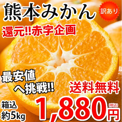 みかん 訳あり 5kg 箱込（内容量4kg＋補償分500g) 熊本...のサムネイル