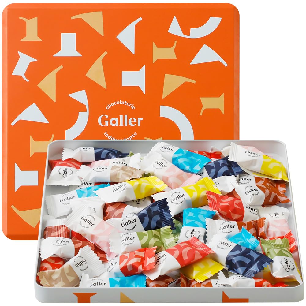 ガレー Galler チョコレート ベルギー王室御用達 ナノバー 50個入り バレンタイン お年賀 ギフト スイーツ お菓子 個包装 お取り寄せ 手さげ袋付き