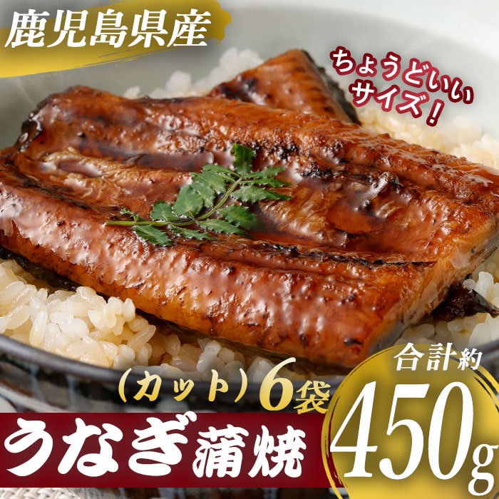 国産 鹿児島県産 うなぎ蒲焼カット 約450ｇ（約75g6袋） 約半身 ハーフカット 薩摩川内うなぎ 蒲焼 うなぎ蒲焼 冷凍 鹿児島 国産 鰻 ウナギ ギフト プレゼント 御歳暮 お歳暮 お中元 薩