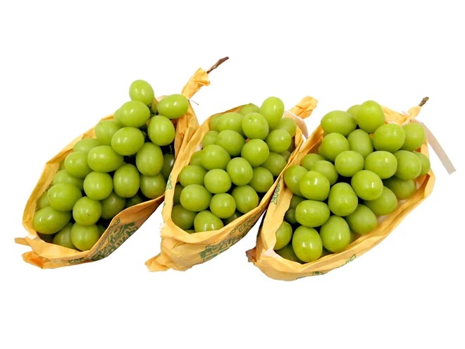 =シャインマスカット= 秀品 大房限定 2-4房 約2kg 産地厳選[B2] 予約 8月下旬以降