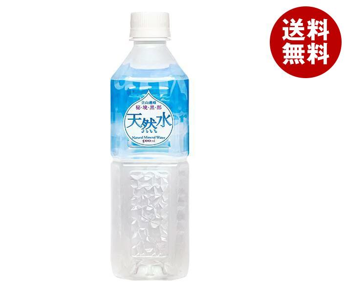 日本薬剤 秘境黒部 天然水 500mlPET＊24本入＊(2ケース)