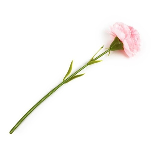 부모님 선생님 카네이션 조화 10p 핑크 학교 유치원 어버이날 스승의날 꽃 선물