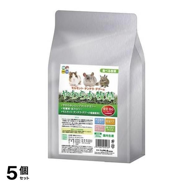 TXT ヨンジュン FREEFALL 来日記念 ラキドロ トレカ