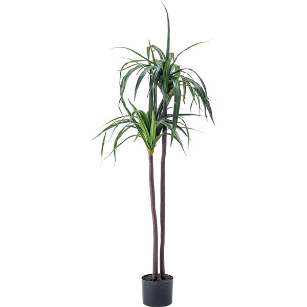 フェイクグリーン 観葉植物 ドラセナ 約幅43x奥行42x高さ84cm リビング 店舗 ショップ インテリア雑貨