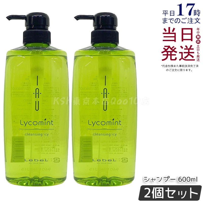 【お得2個セット】ルベル IAU イオリコミント クレンジング icy 600ml