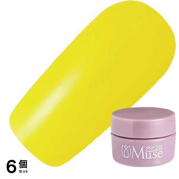 PREGEL(プリジェル) ミューズ M313 パインイエロー 3g 6個セット