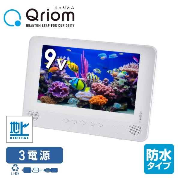 防水 ポータブルDVDプレーヤー 地デジ放送対応 テレビ 9インチ TPD-L90FW ホワイト