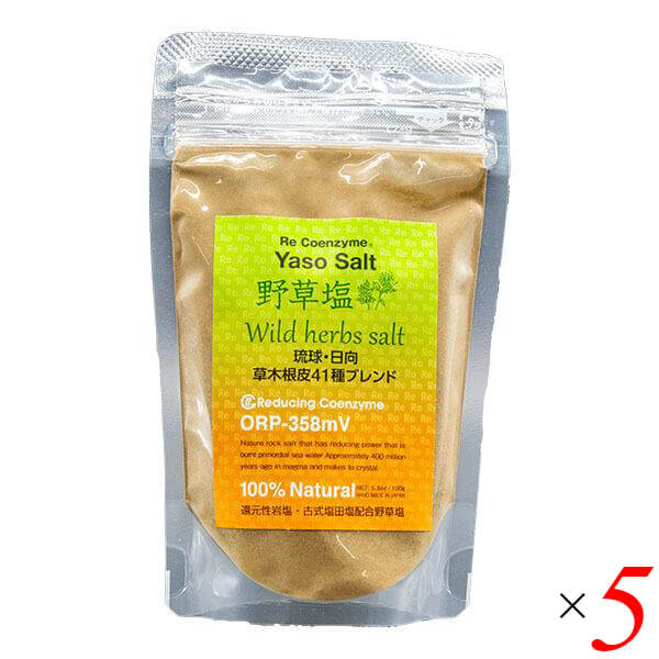 リリアン リ・コエンザイム 野草塩（詰替用）85g 5個セット
