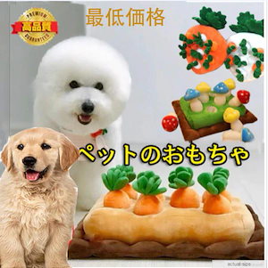 犬用品