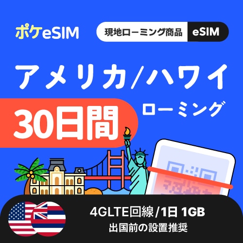【冬のスペシャルプライス！】アメリカ eSIM 1日1GB 30日間 データ通信専用（電話番号なし） 有効期限90日
