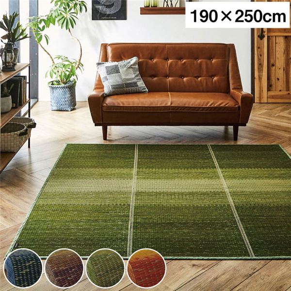 い草 ラグマット (グラデーション グリーン 約190×250cm) 制菌 抗菌防臭 防滑 不織布 小林製薬 持続性抗菌剤 KOBA-GUARD 8,376円