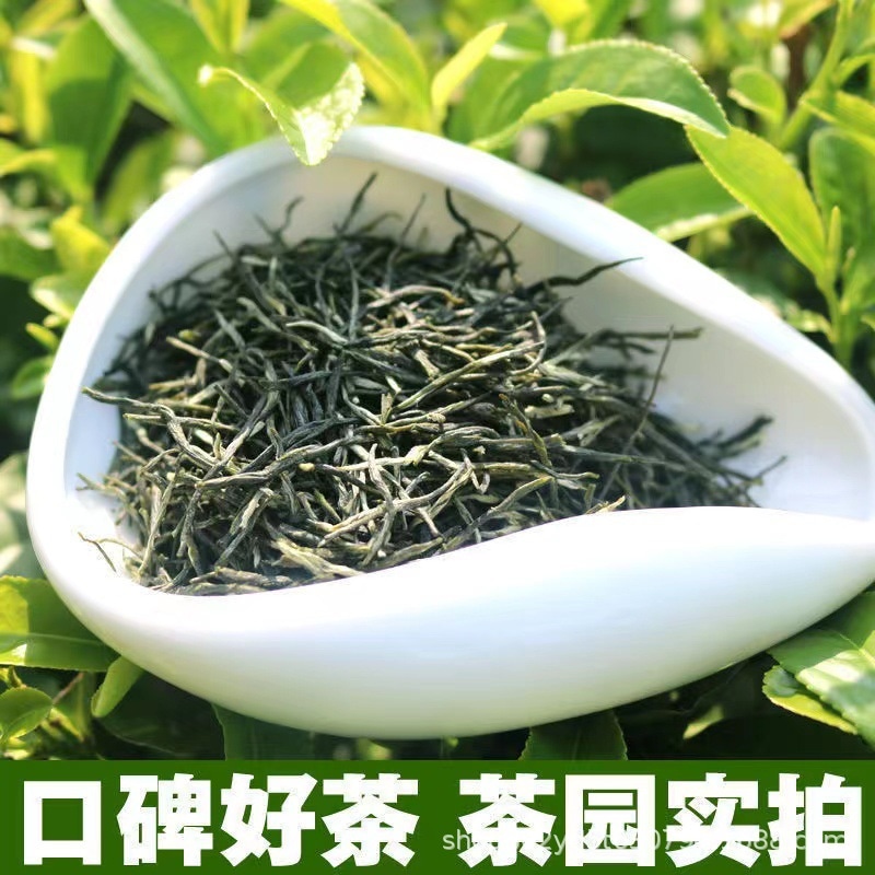 マオジアンの手作りの強いフレーバー新しいお茶抵抗性高山茶