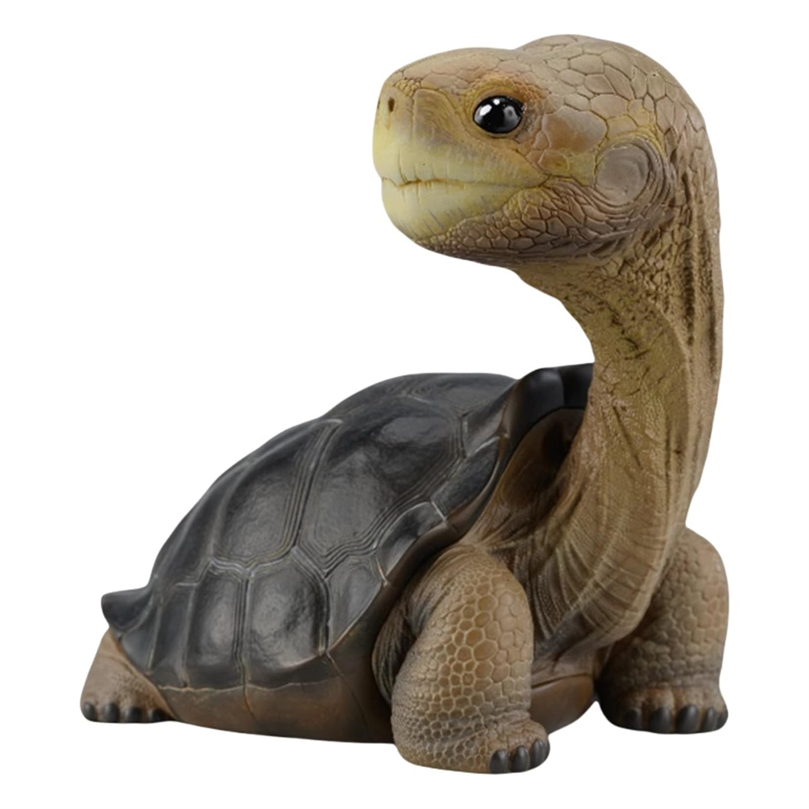 動物惑星 ガラパゴスゾウガメ カメ 亀 12. 5CM級 カメ目 リクガメ科 爬虫類 フィギュア 樹脂 可愛い おもちゃ プラモデル プレミアム リアル 動物好き オリジナル 模型 プレゼント