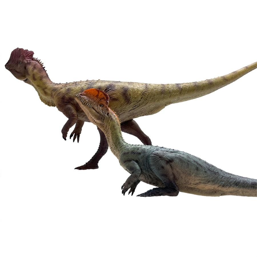 HAOLONGGOOD 1/35 サイズ 2点セット ディロフォサウルス 20cm 獣脚類 恐竜 フィギュア リアル 模型 プラモデル プレゼント プレミアム