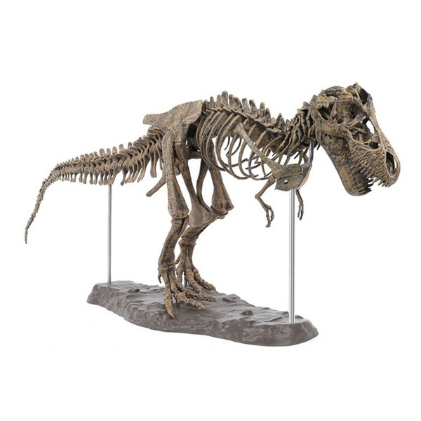 恐竜 お金を節約 T-REX ティラノサウルスレックス 化石 おもちゃ 8 スケルトン オンライン限定商品 25 15cm