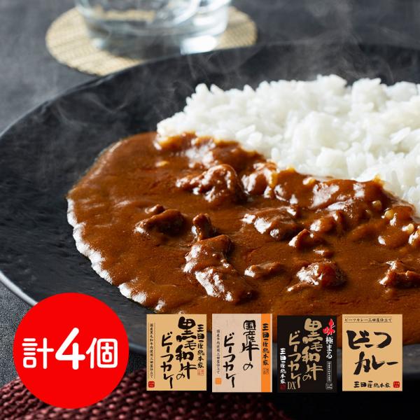 兵庫 三田屋総本家 ビーフカレー4種食べ比べセット 各1食 詰め合わせ SISK