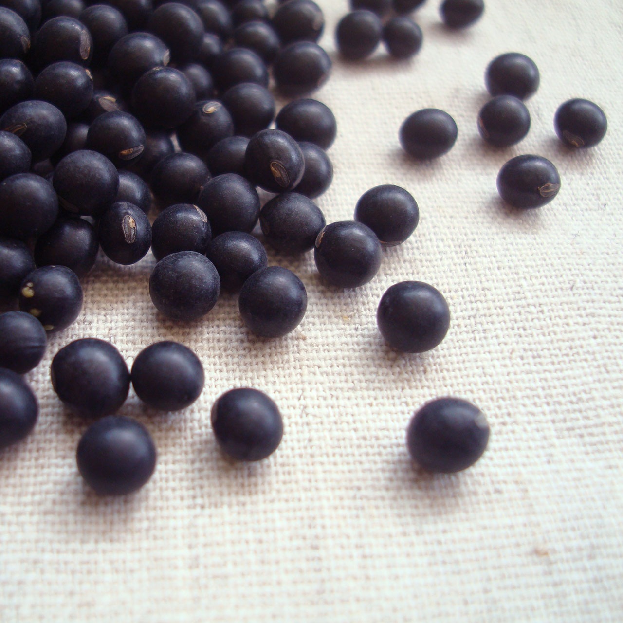 黒千石 未選別 5kg 2024年産 令和6年産 北海道産 小粒黒豆 業務用パック 店舗発送