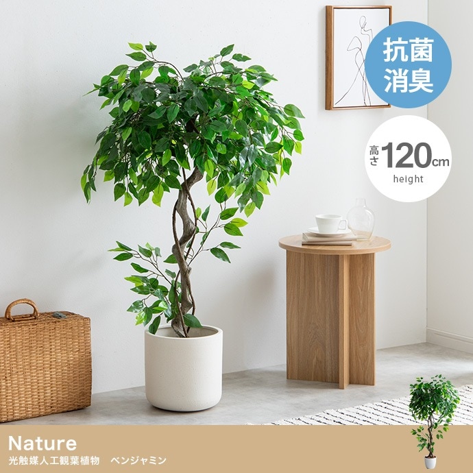 観葉植物 フェイクグリーン 光触媒 ベンジャミン 高さ120cm